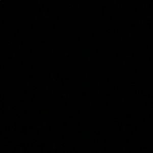 Meet your Posher, Evelyn